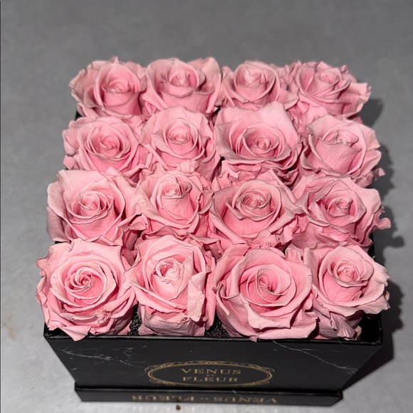 Venus Et Fleur Pink Roses in Black Box - Picture 8 of 9